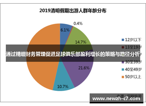 通过精细财务管理促进足球俱乐部盈利增长的策略与路径分析 通过精细财务管理促进足球俱乐部盈利增长的策略与路径分析