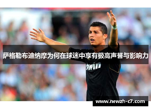 萨格勒布迪纳摩为何在球迷中享有极高声誉与影响力 萨格勒布迪纳摩为何在球迷中享有极高声誉与影响力