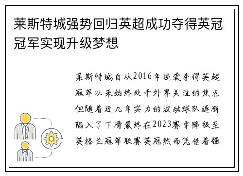 莱斯特城强势回归英超成功夺得英冠冠军实现升级梦想